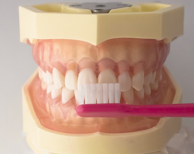 歯ブラシを45度で磨く様子