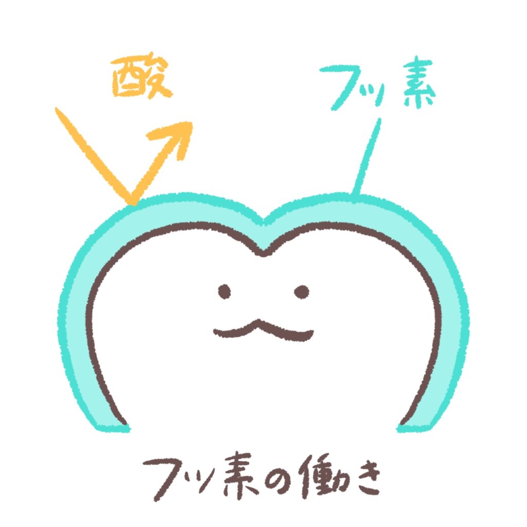 フッ素の働きのイメージ