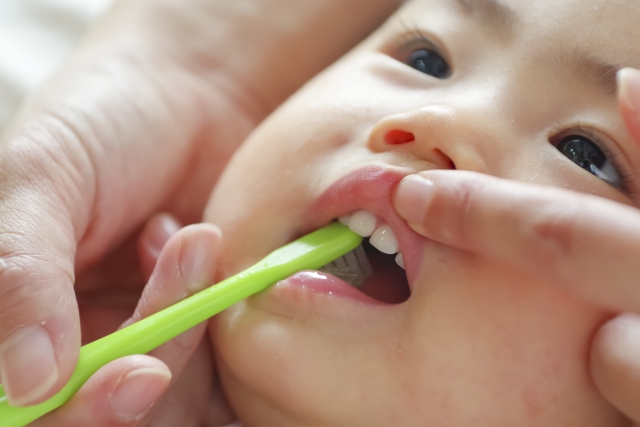 仕上げ磨きの様子