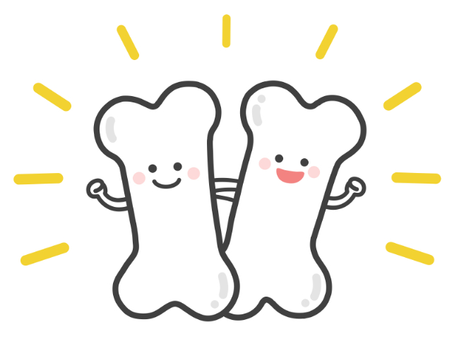 健康な骨のイメージ